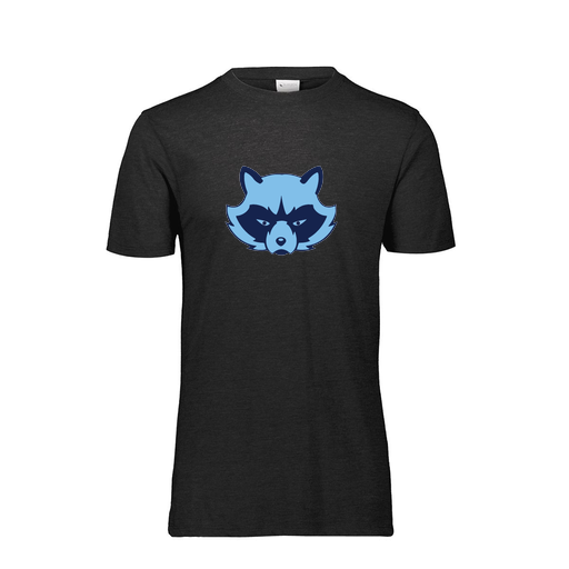 [FTSCUBBK-YS-LOGO1] Decker Youth Tri-Blend T-Shirt - Short Sleeve (Youth S, Black, Logo 1)
